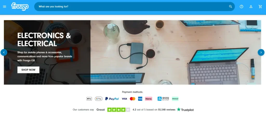 Fruugo homepage screenshot showing electronics category promotion, search bar, payment method icons, Trustpilot rating, and multi-country marketplace navigation for European sellers.