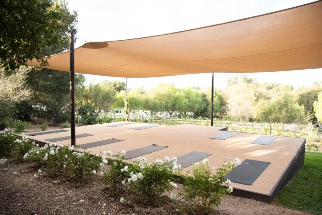 Fitness and Yoga Accessories